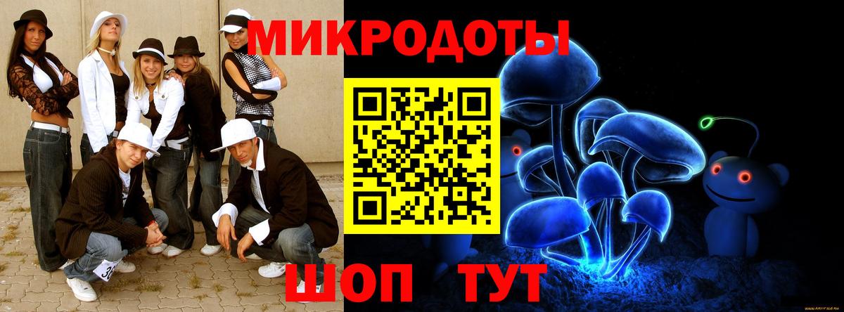 Кизляр  Галлюциногенные грибы мухоморы  закладки  Вход с VPN 